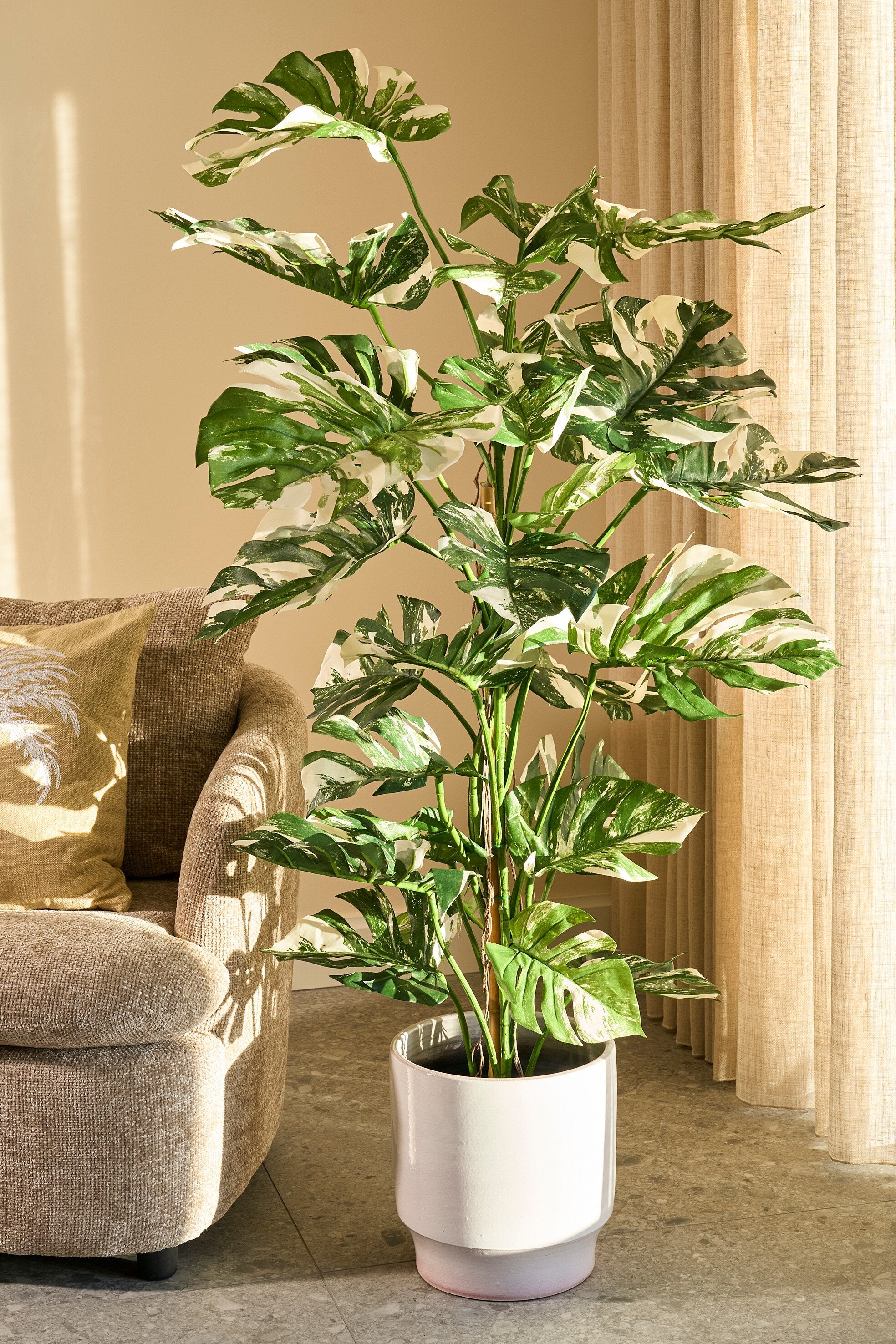 Monstera Tree Green - H140Xd120Cm