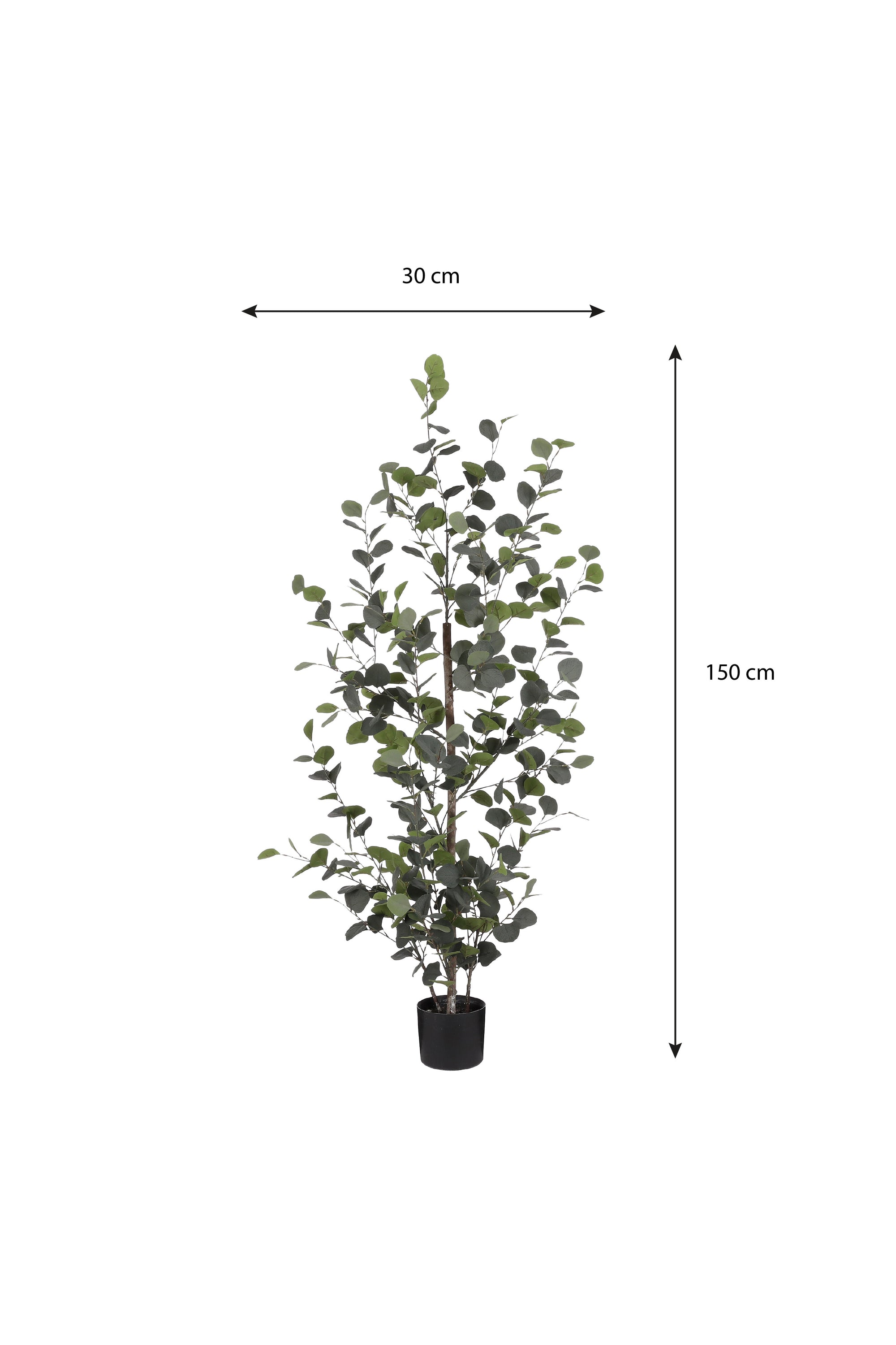 Eucalyptus In Pot Green - H150Xd30Cm