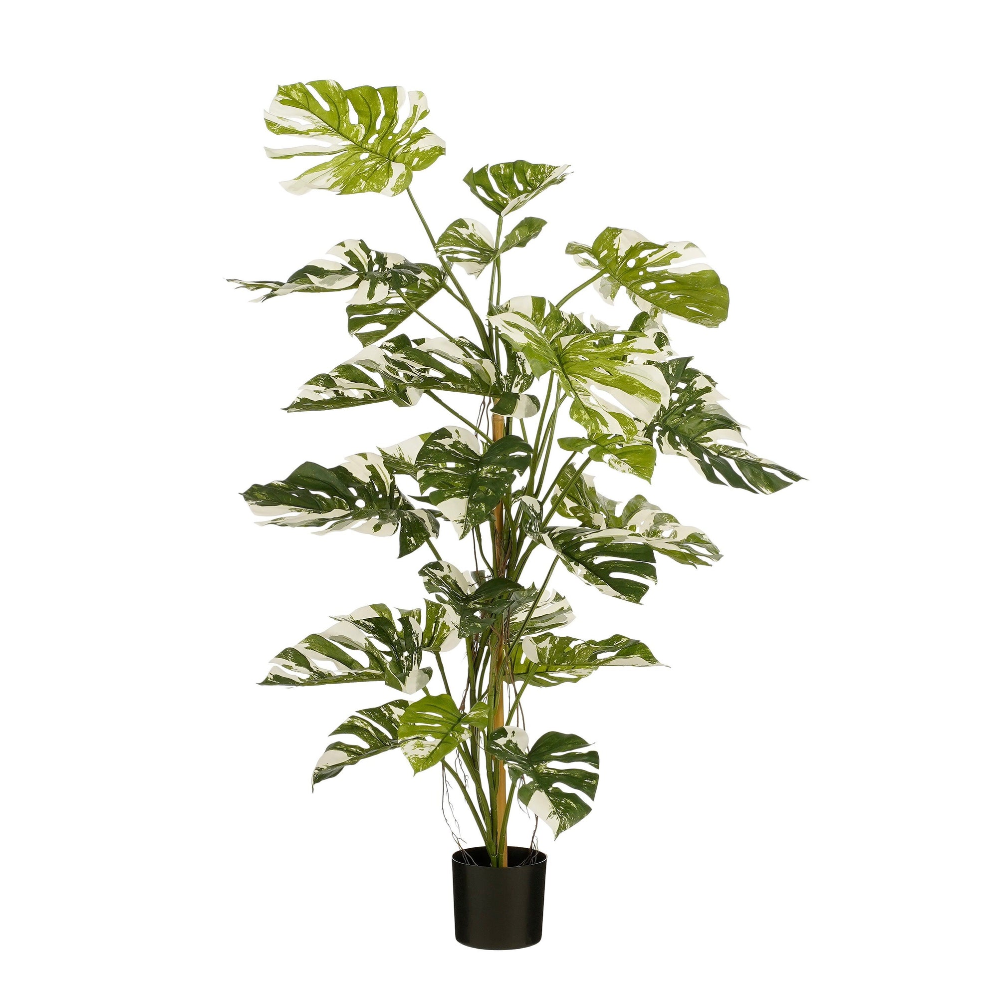 Monstera Tree Green - H140Xd120Cm