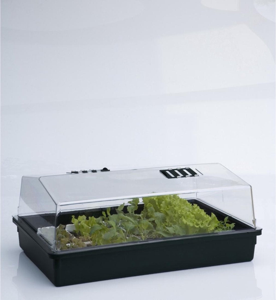 PROPAGATOR 24 x 59 x 39 cm