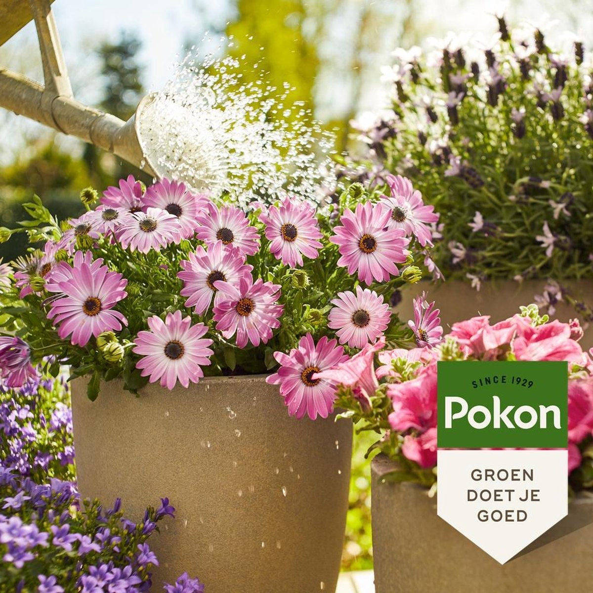 TERRAS & BALKON PLANTEN VOEDING 1 LITER