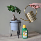  BONSAI VOEDING 250 ML