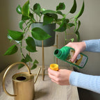 KAMERPLANTEN VOEDING 500 ML
