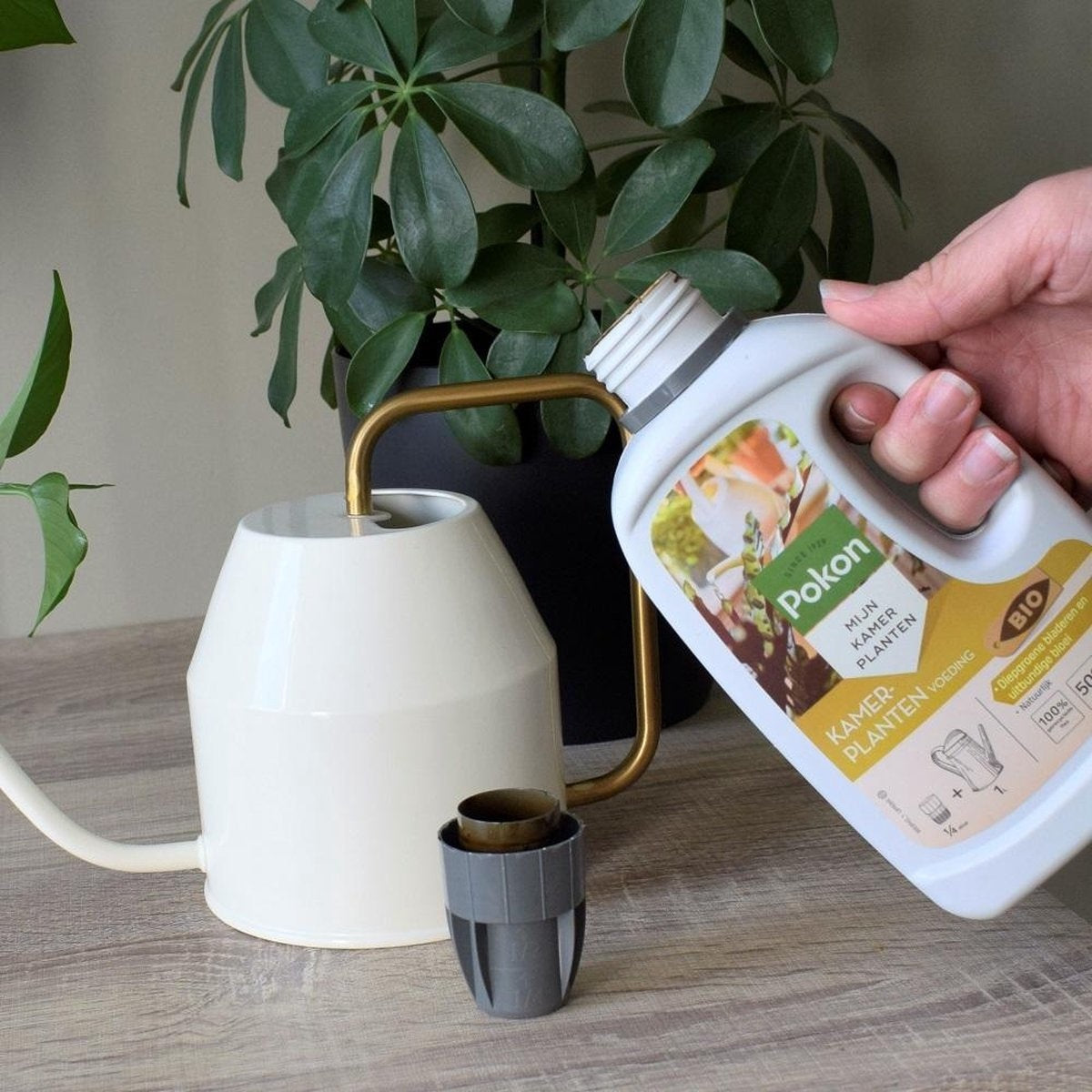 BIO KAMERPLANTEN VOEDING 1 LITER