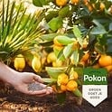MEDITERRANE PLANTEN VOEDING 1 KG