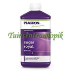  SUGAR ROYAL 1 LITER