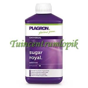  SUGAR ROYAL 500 ML