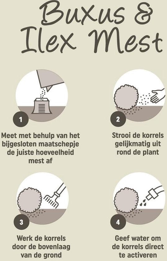  BUXUS & ILEX MEST 1KG