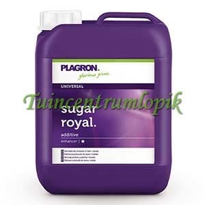 SUGAR ROYAL 5 LITER