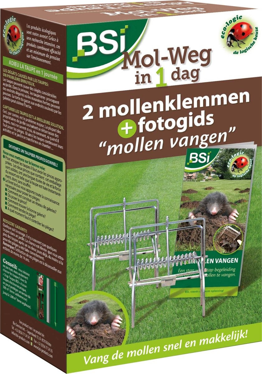 MOL-WEG IN 1 DAG