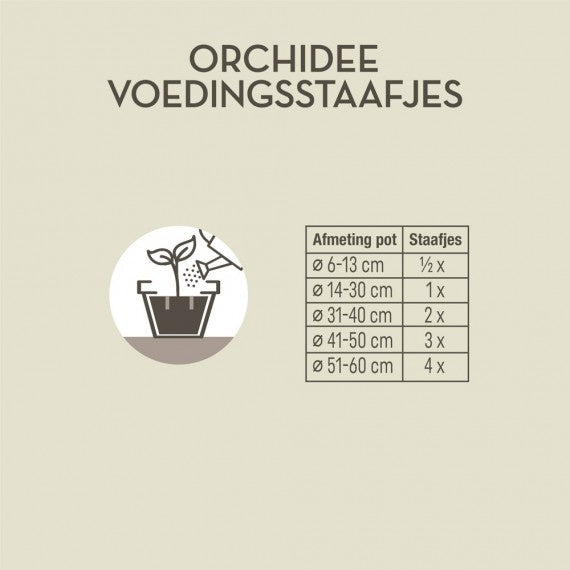  ORCHIDEE PLANTEN VOEDINGSSTAAFJES 24 STUKS