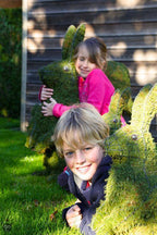  BUXUS BLADVOEDING GEBRUIKSKLAAR 750 ML