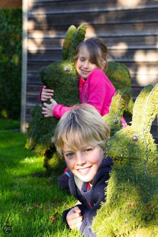  BUXUS BLADVOEDING GEBRUIKSKLAAR 750 ML