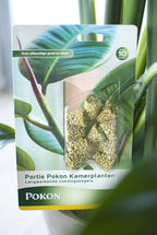  KAMERPLANTEN VOEDINGSKEGELS 10 STUKS