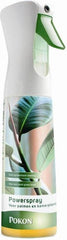 POWERSPRAY KAMERPLANTEN 300 ML