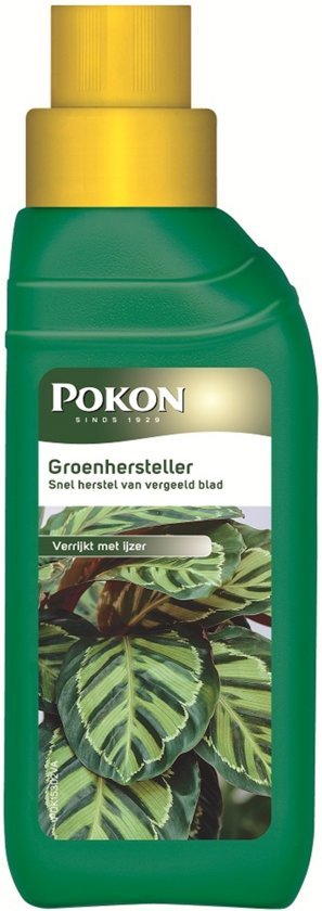 GROENHERSTELLER 250 ML