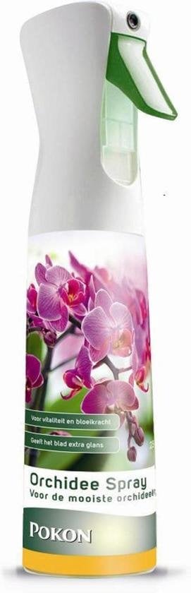 POWERSPRAY ORCHIDEE 300 ML