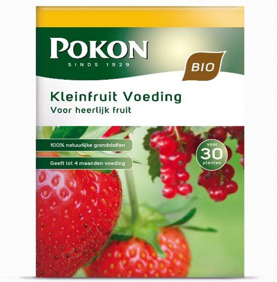 BIO KLEINFRUIT VOEDING 1 KG