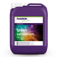 GREEN SENSATION 5 LITER