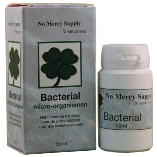 SUPPLY BACTERIAL 50 ML