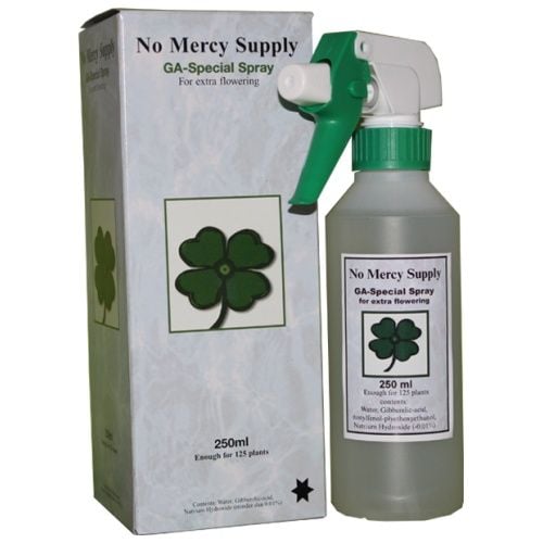 SUPPLY GA-SPECIAL SPRAY 250 ML