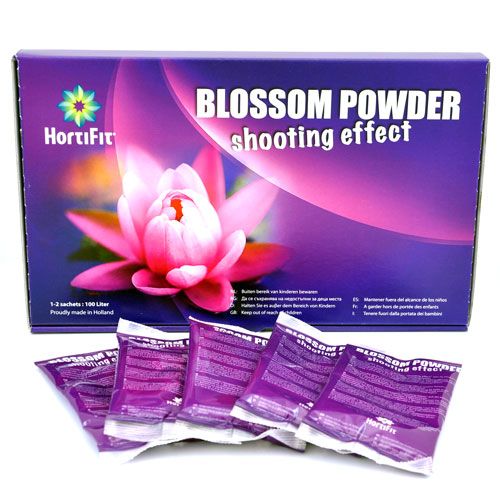 BLOSSOM POWDER 1 SACHET 100 GRAM
