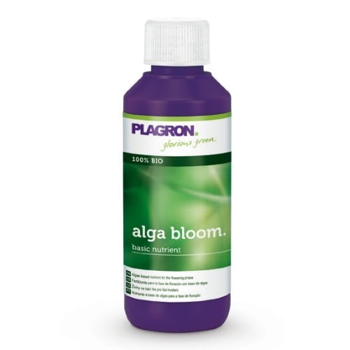  ALGA BLOOM 100 ML