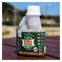 BOOM BOOM SPRAY 100 ML