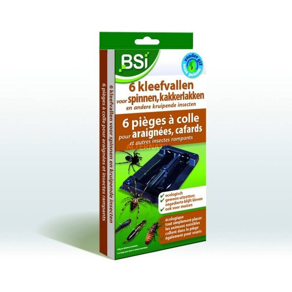 KLEEFVAL VOOR SPINNEN 6 STUKS