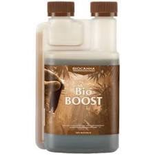 BIOCANNA BIO BOOST 1 LITER