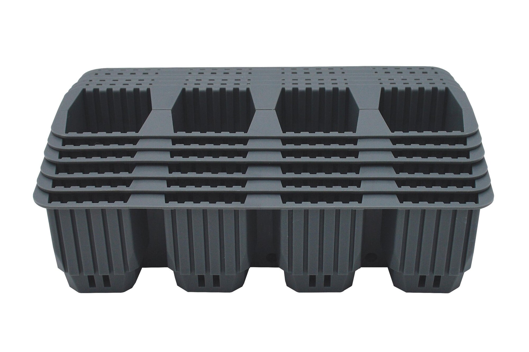 24 FAST ROOT PLANT CELLS