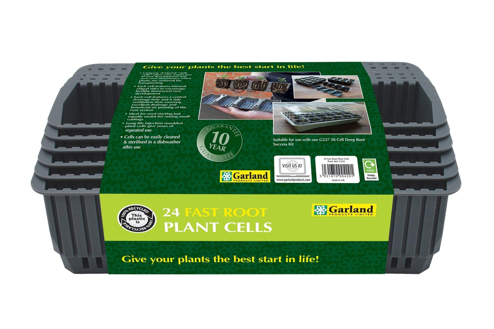 24 FAST ROOT PLANT CELLS