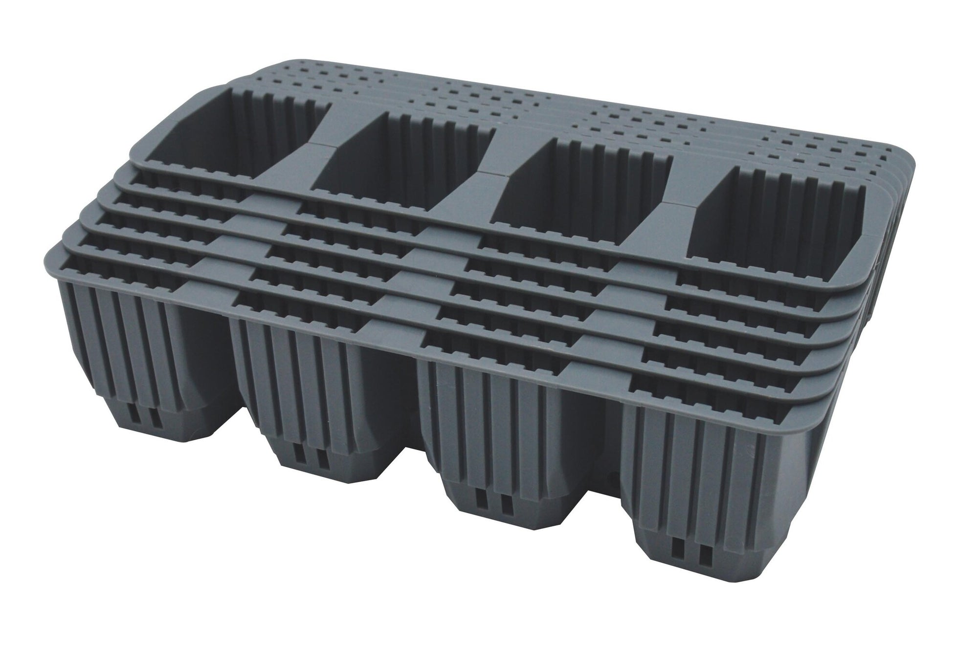 24 FAST ROOT PLANT CELLS