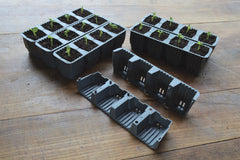 24 FAST ROOT PLANT CELLS