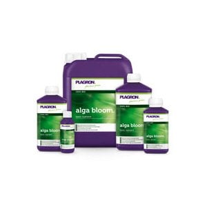  ALGA BLOOM 100 ML