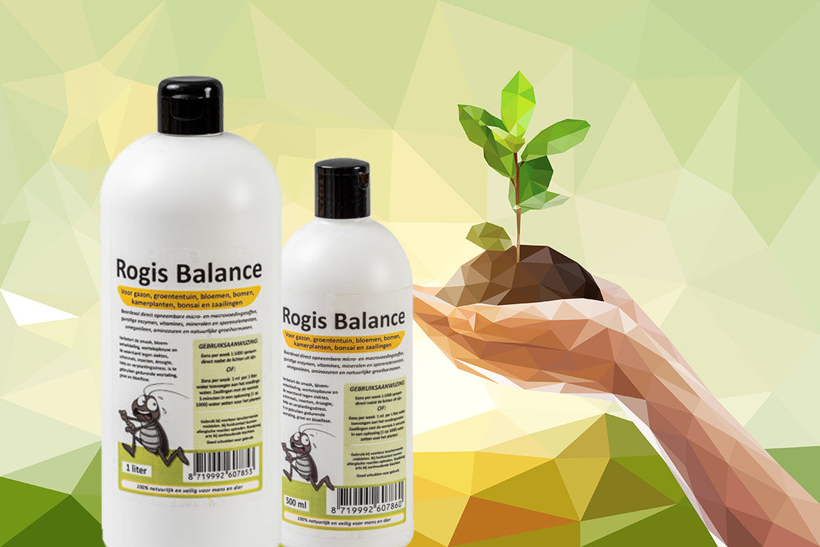ROGIS BALANCE 1 LITER