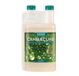 CANNACURE GECONCENTREERD 1 LITER